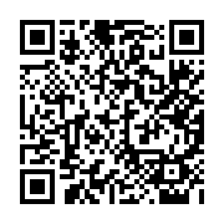 QR code for 291NZT