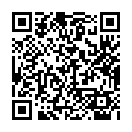 QR code for 291PET