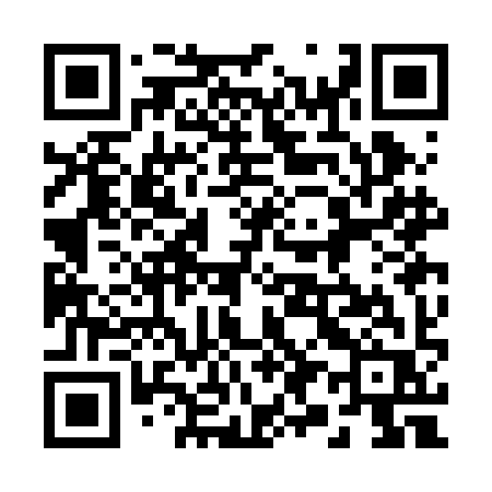 QR code for 293BIR