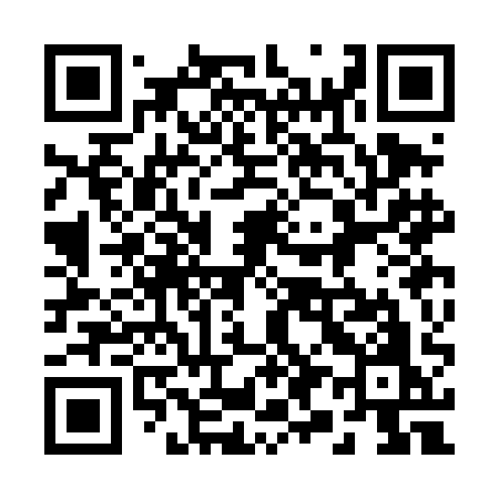 QR code for 293DAO