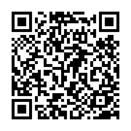 QR code for 293DMU