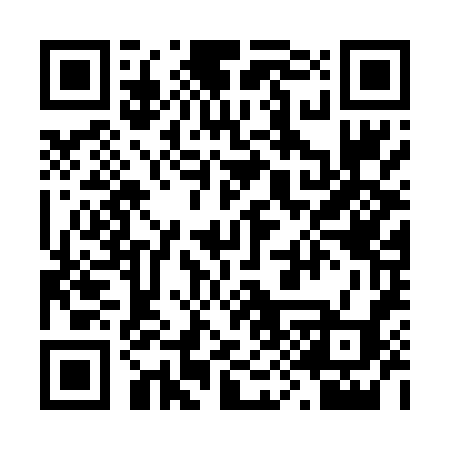 QR code for 293DZH