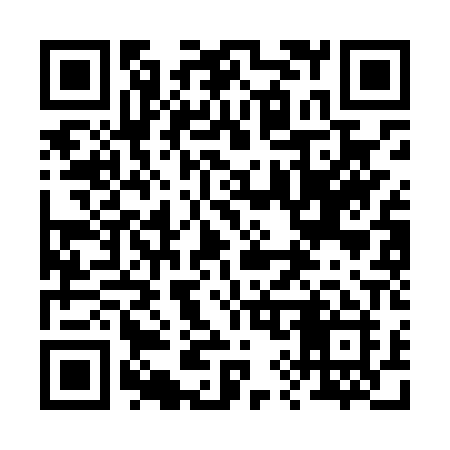 QR code for 293LPI