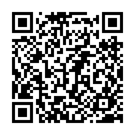 QR code for 293RAN