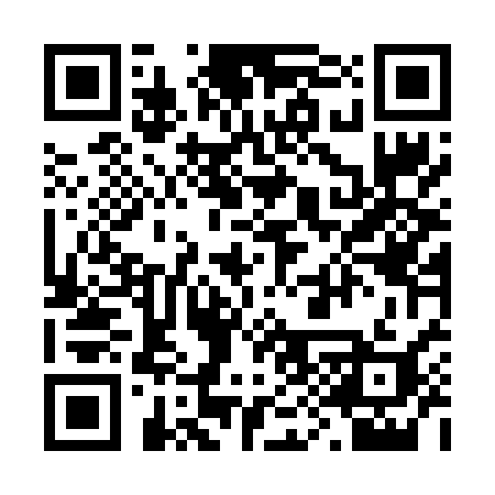 QR code for 294FSI