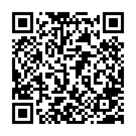 QR code for 294PLV