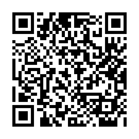 QR code for 294POI