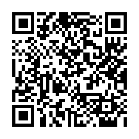 QR code for 294RIR