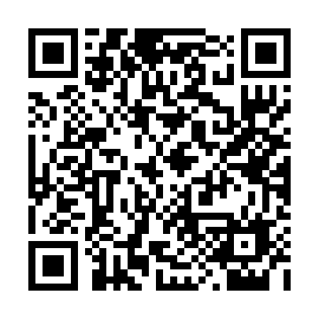 QR code for 295BUF
