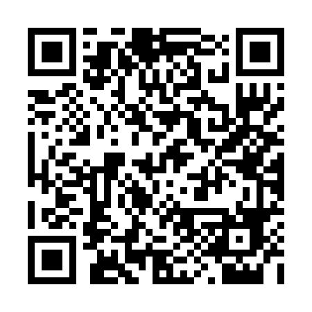 QR code for 295BVG