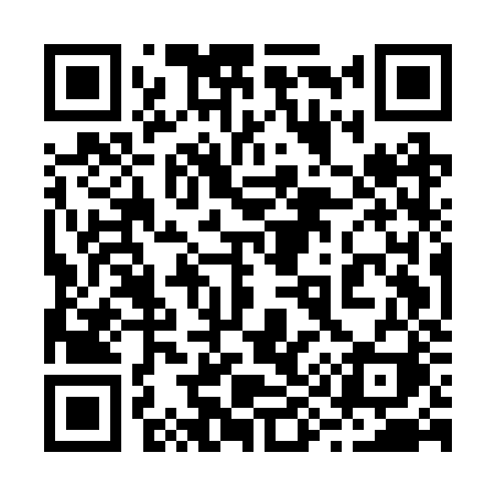 QR code for 295BZI