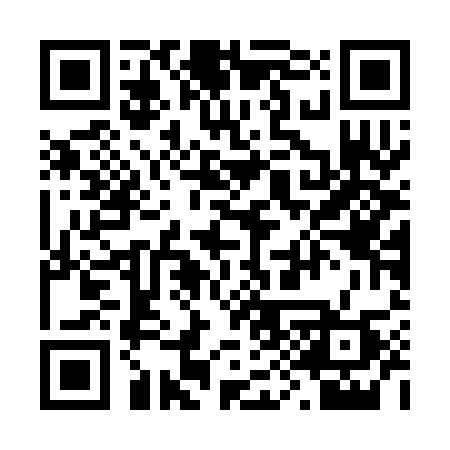 QR code for 295CAP
