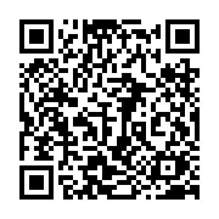 QR code for 295CKM
