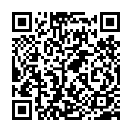 QR code for 295DAP