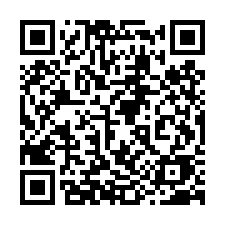 QR code for 295DSE