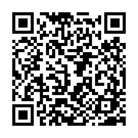 QR code for 295DTK