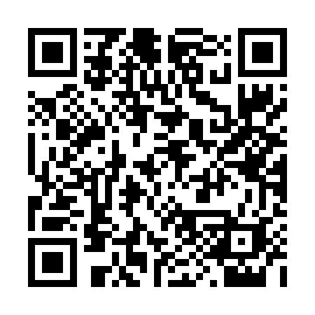 QR code for 295FUJ