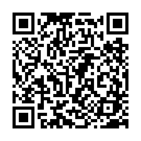 QR code for 295GDK