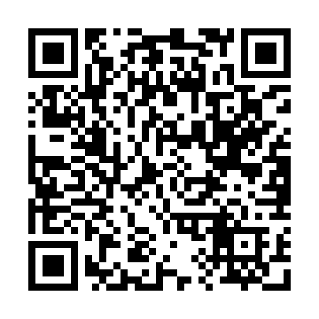 QR code for 295IWB