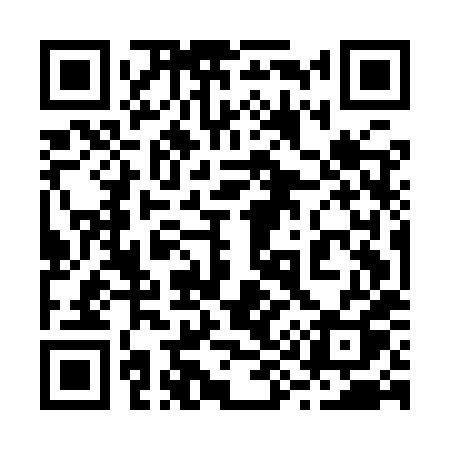 QR code for 295IXQ
