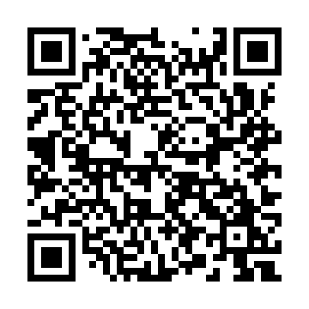 QR code for 295IZO