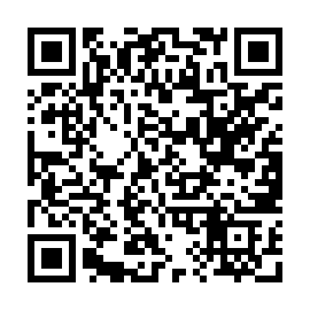 QR code for 295JZC