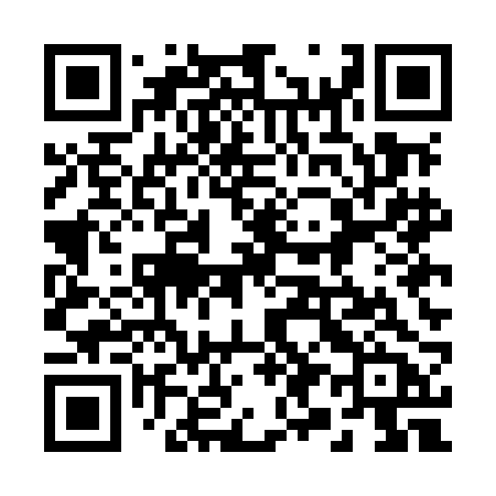 QR code for 295MBB