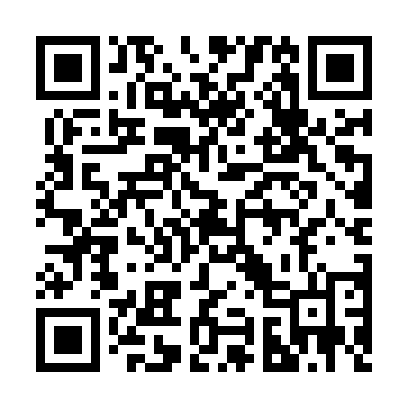 QR code for 295MUL