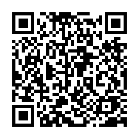 QR code for 295NKE