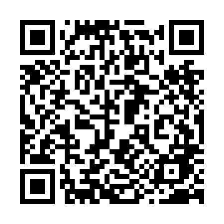 QR code for 295NLE