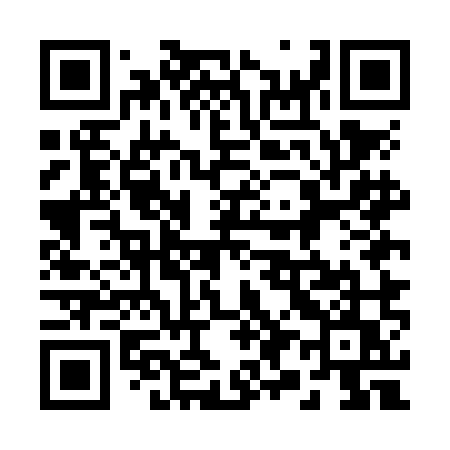 QR code for 295NMU