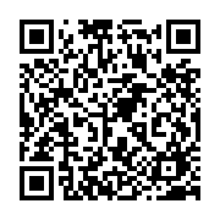 QR code for 295OAG