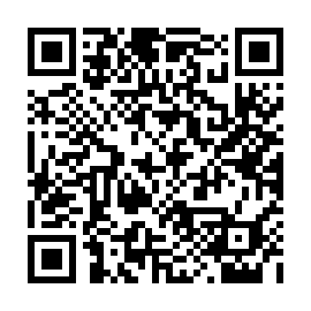 QR code for 295OCH