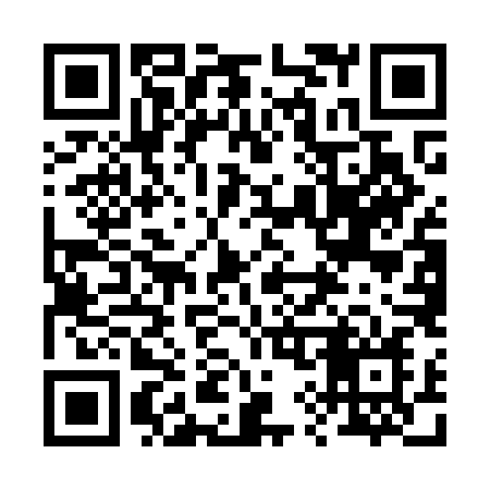 QR code for 295OLN