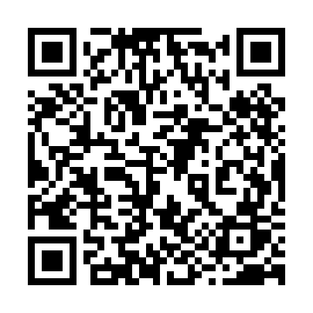 QR code for 295PGR