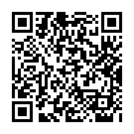 QR code for 295PLJ