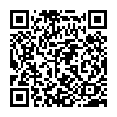 QR code for 295PQY