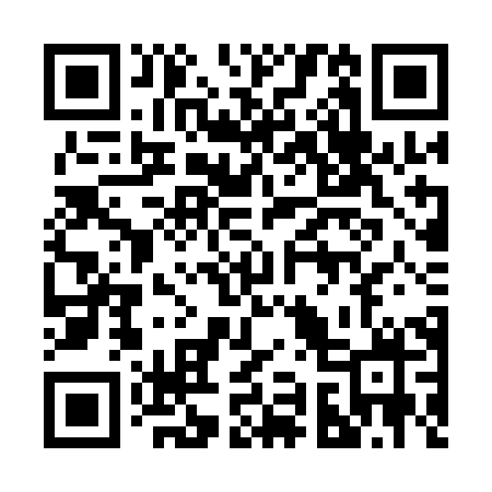 QR code for 295QHX
