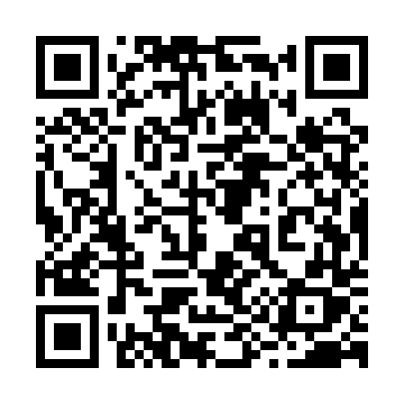 QR code for 295QTX