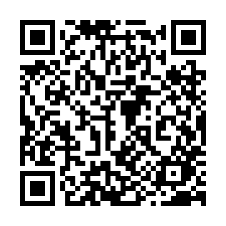 QR code for 295SHO