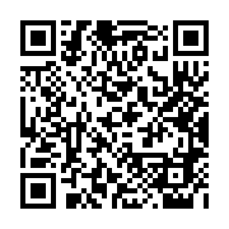 QR code for 295SNC