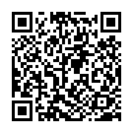 QR code for 295TQZ