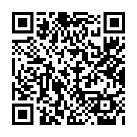 QR code for 295VST