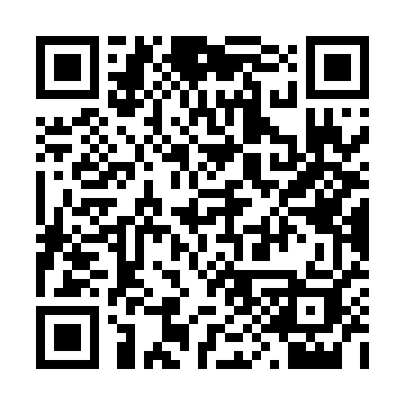 QR code for 295XGK