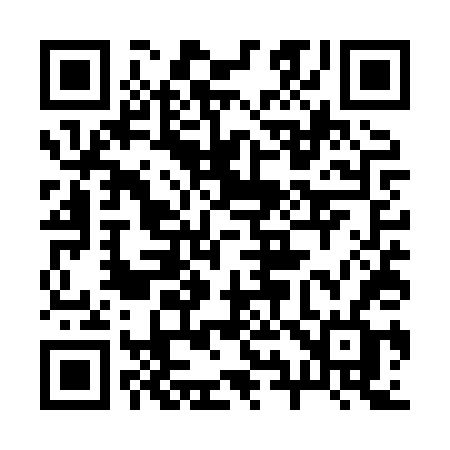 QR code for 295XTF