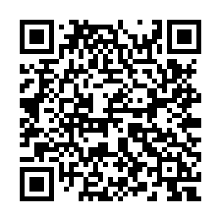QR code for 295XTH