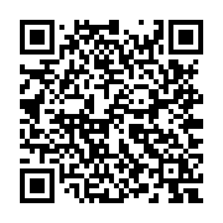 QR code for 295XZX