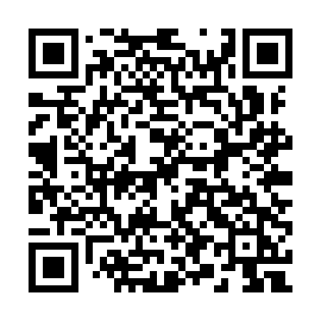 QR code for 295YDJ