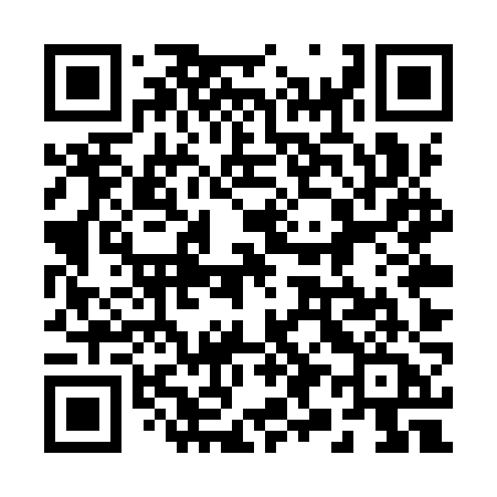 QR code for 295YZA