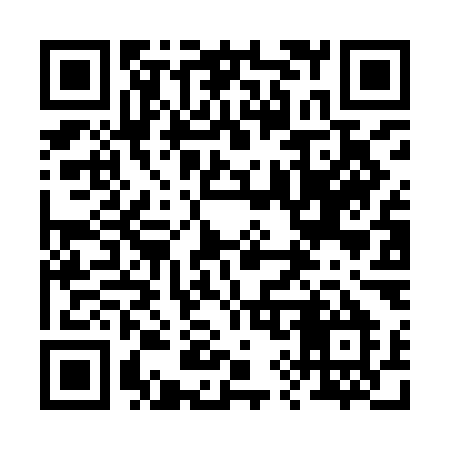 QR code for 296IMM